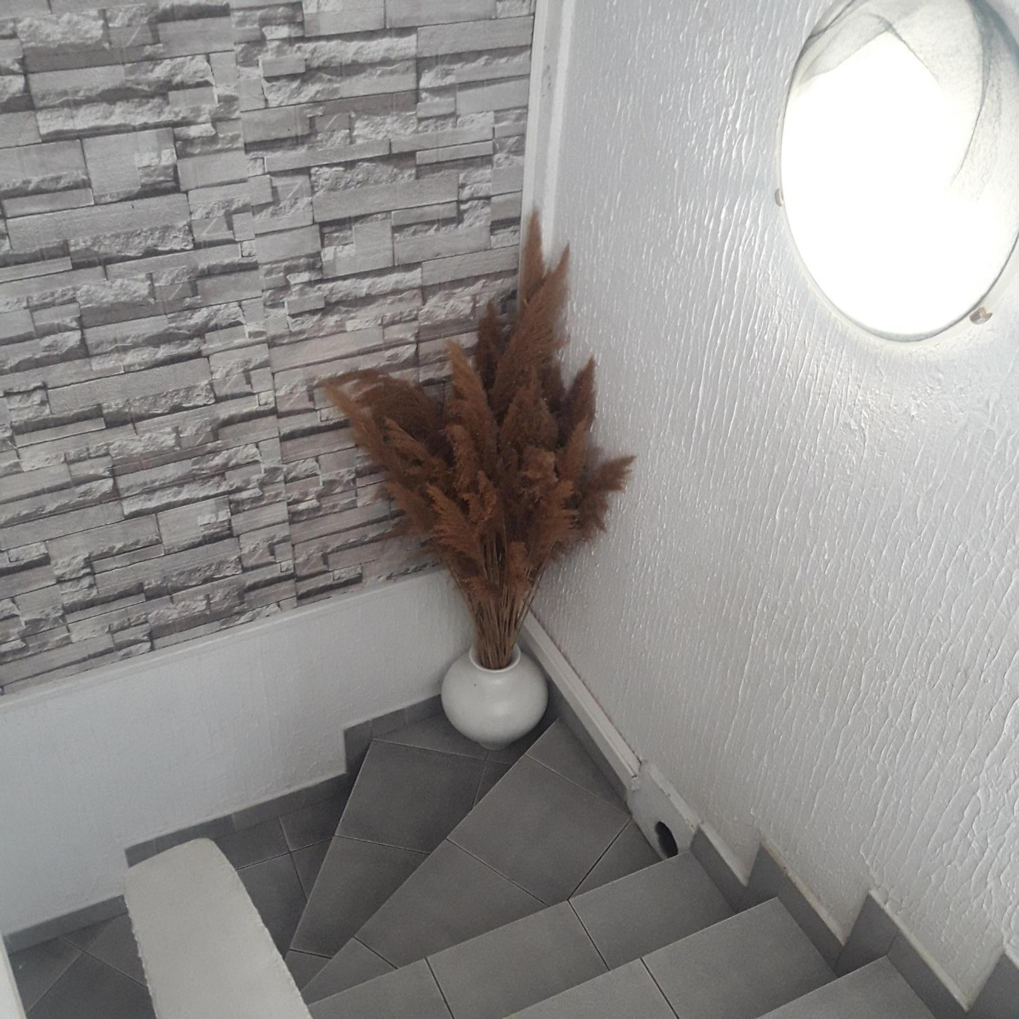 Apartmani Ni Exteriör bild